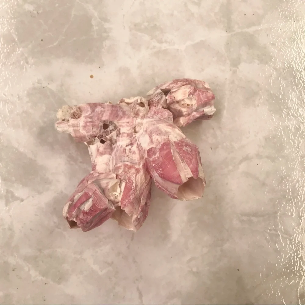 Custom shell bundle — PLEASE READ - Picture 7 of 13